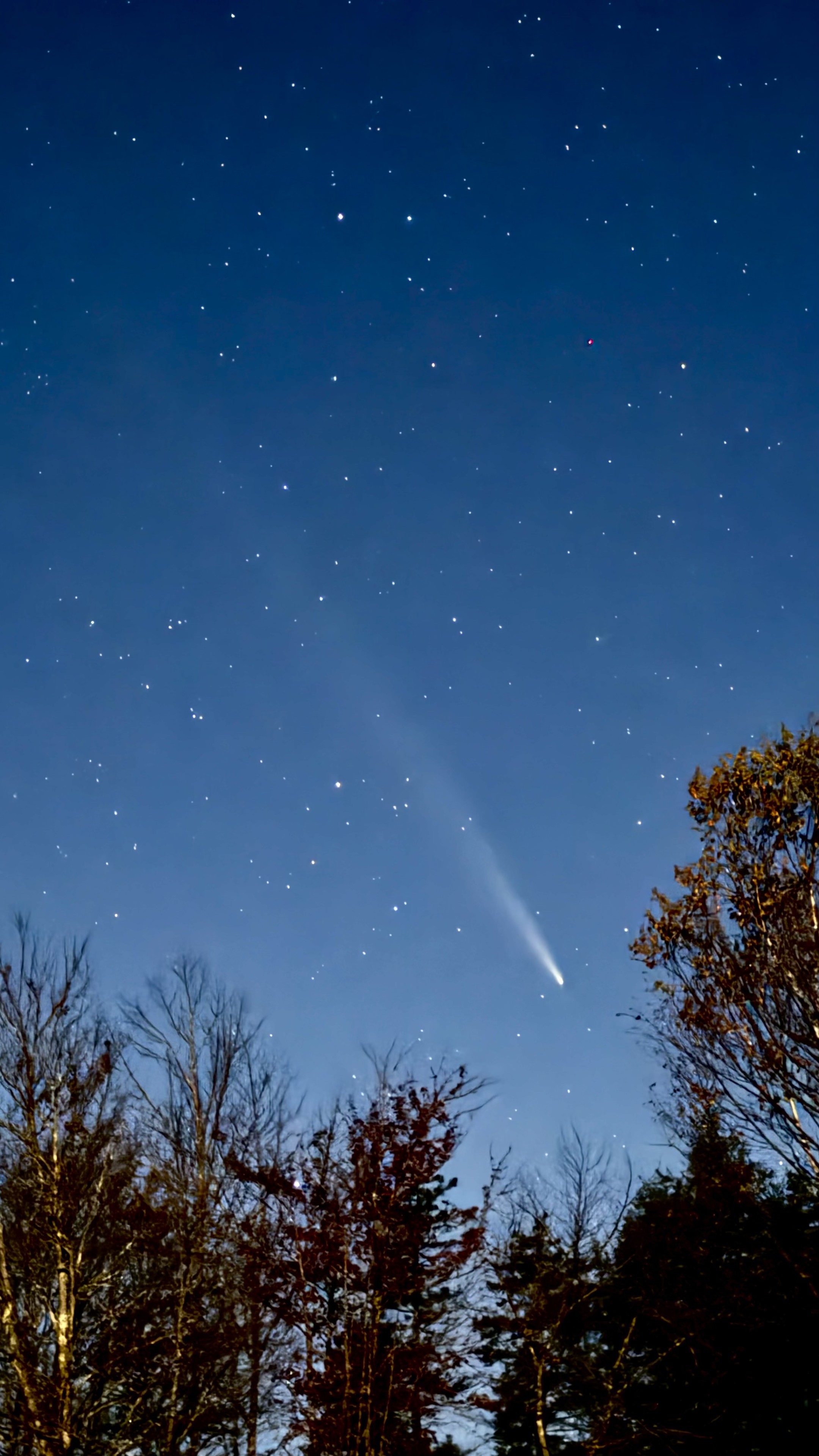 A comet stretches across the night sky